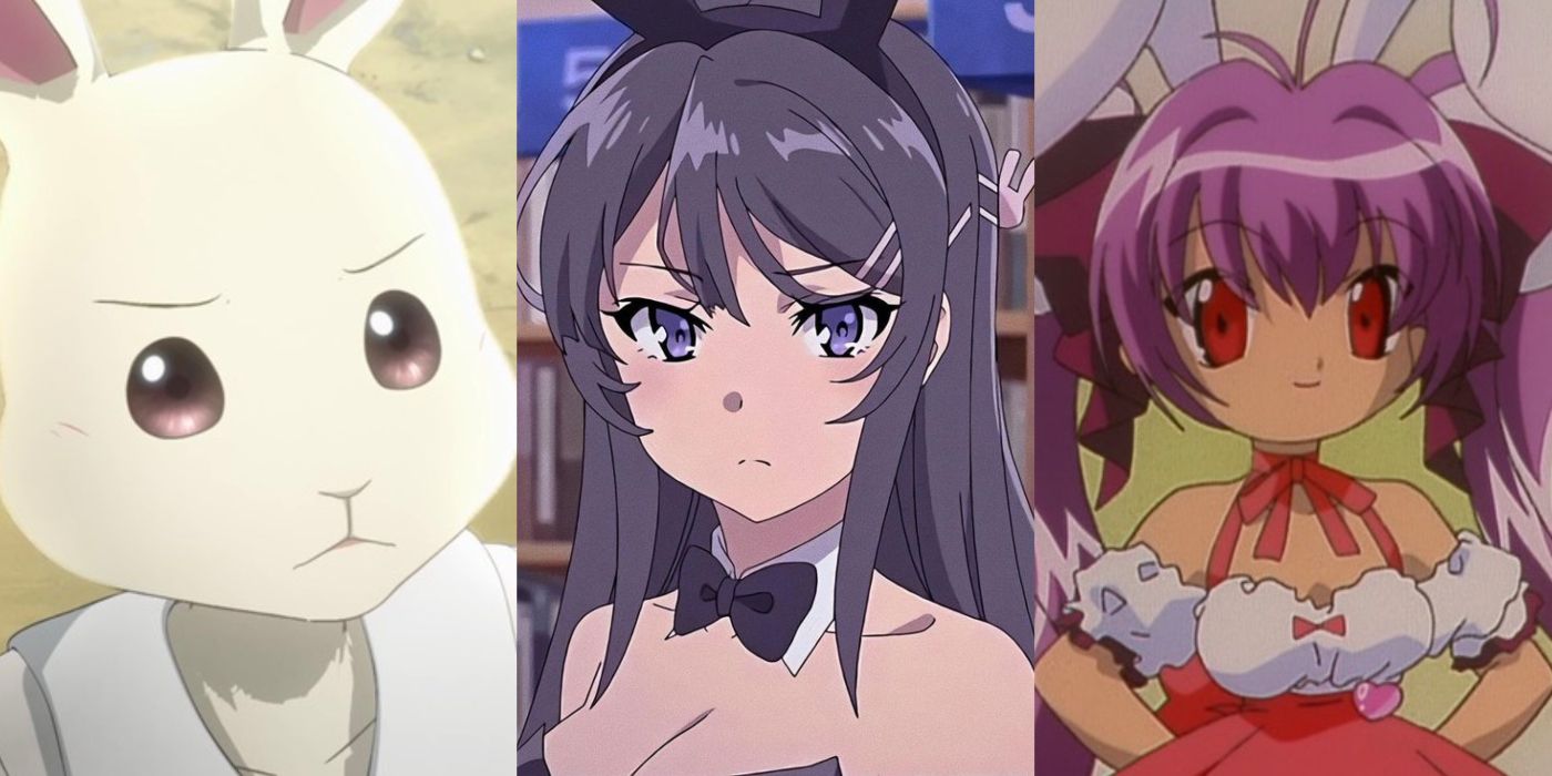 Haru from Beastars, Mai Sakurajima from Rascal Does Not Dream of Bunny Girl Senpai, and Hikaru Usada from Di Gi Charat